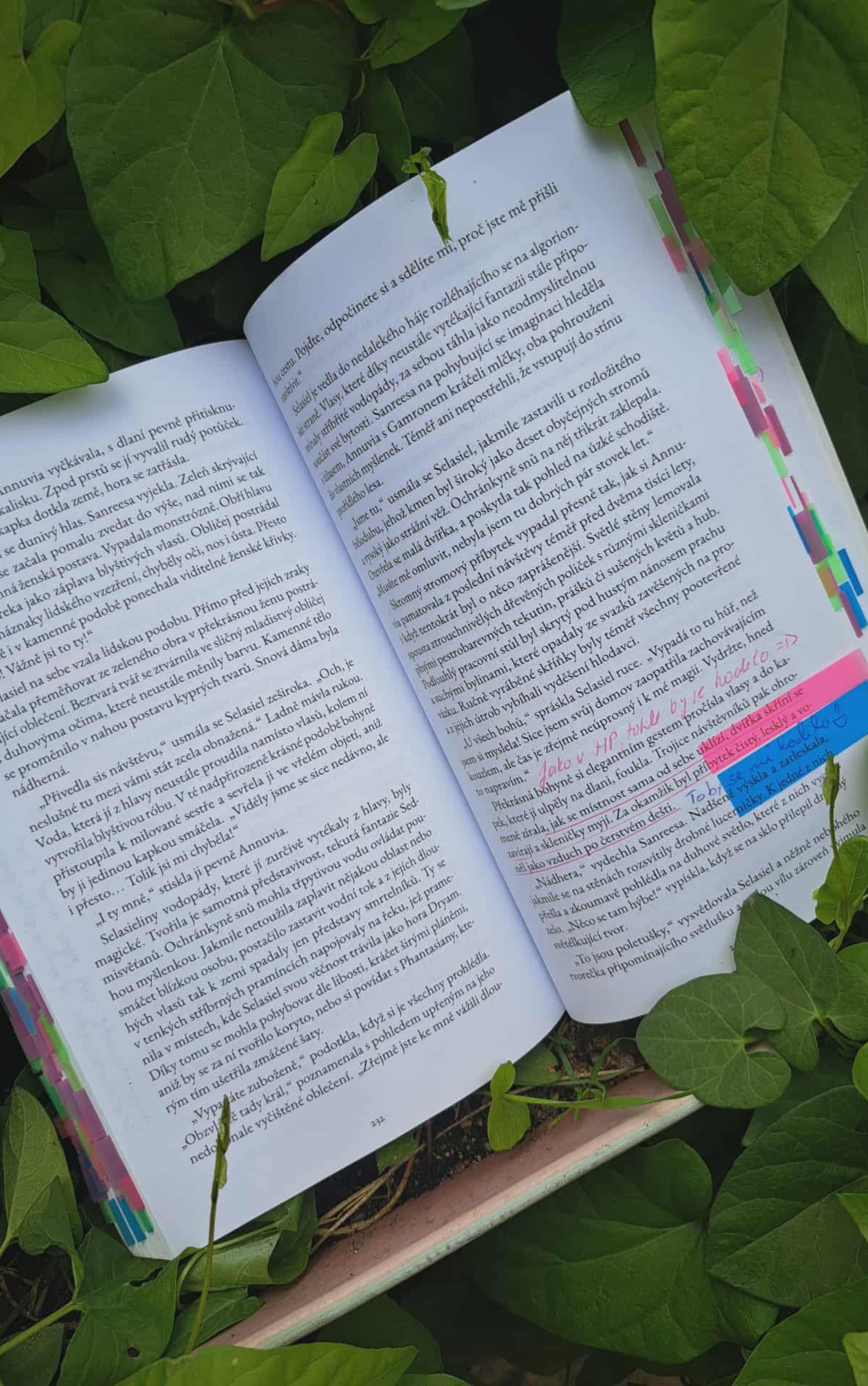 Knižní štafera_Pán nočních můr_Nakladatelství BRK